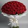 Букет 101 Красная роза Блэк Мэджик в Качалинской