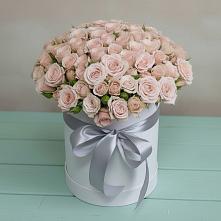 Цветочная композиция из Розы в шляпной коробке #REPLACE_PRED# Качалинской