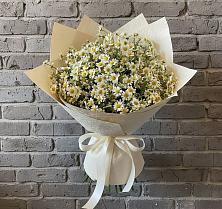 Букет цветов из:  Ромашки в Качалинской