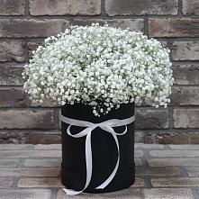 Цветочная композиция из Гипсофила в шляпной коробке в Качалинской