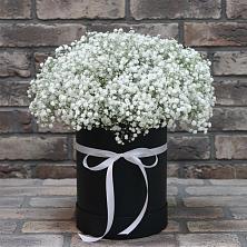 Цветочная композиция из Гипсофила в шляпной коробке в Качалинской