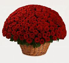 Премиум букет из: Розы #REPLACE_PRED# Качалинской